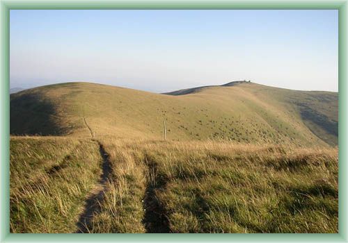 Between Ostredok and Kr�na
