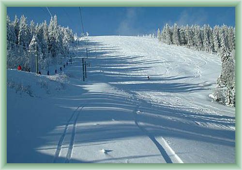 Martinsk� hole