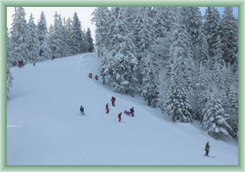 �ertovica - Downhill course