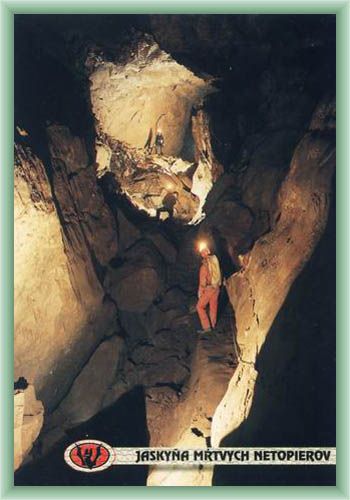 Cave of Dead Bats