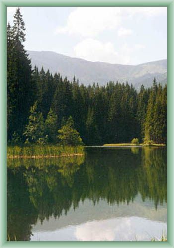 Vrbick� Mountain Lake