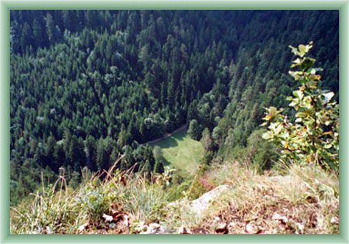 Toma�ovsk� View