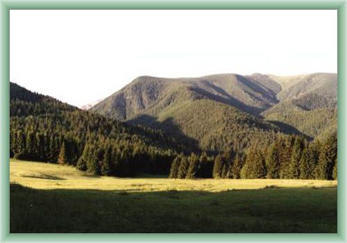 Jaloveck� Valley