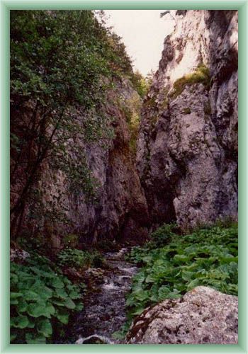 Prosiecka Valley