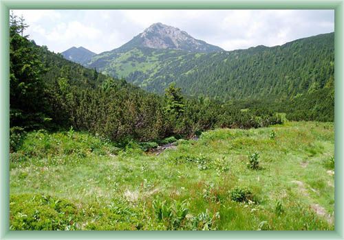 Mountain Siv� vrch