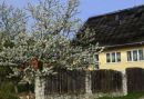 Guesthouse ALFA TATRY