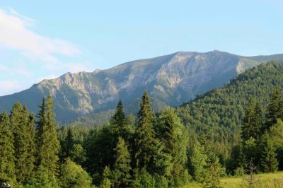 Cottage under the Belianske Tatras