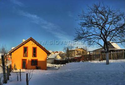Limbový dvor
