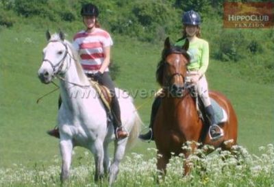 Pension HippoClub