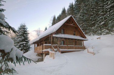 Cottage Pod Basovnou