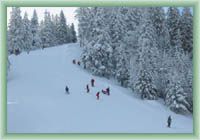 Čertovica - Downhill course