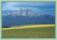 Belianské Tatras