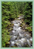 Žiarská Valley - River in valley